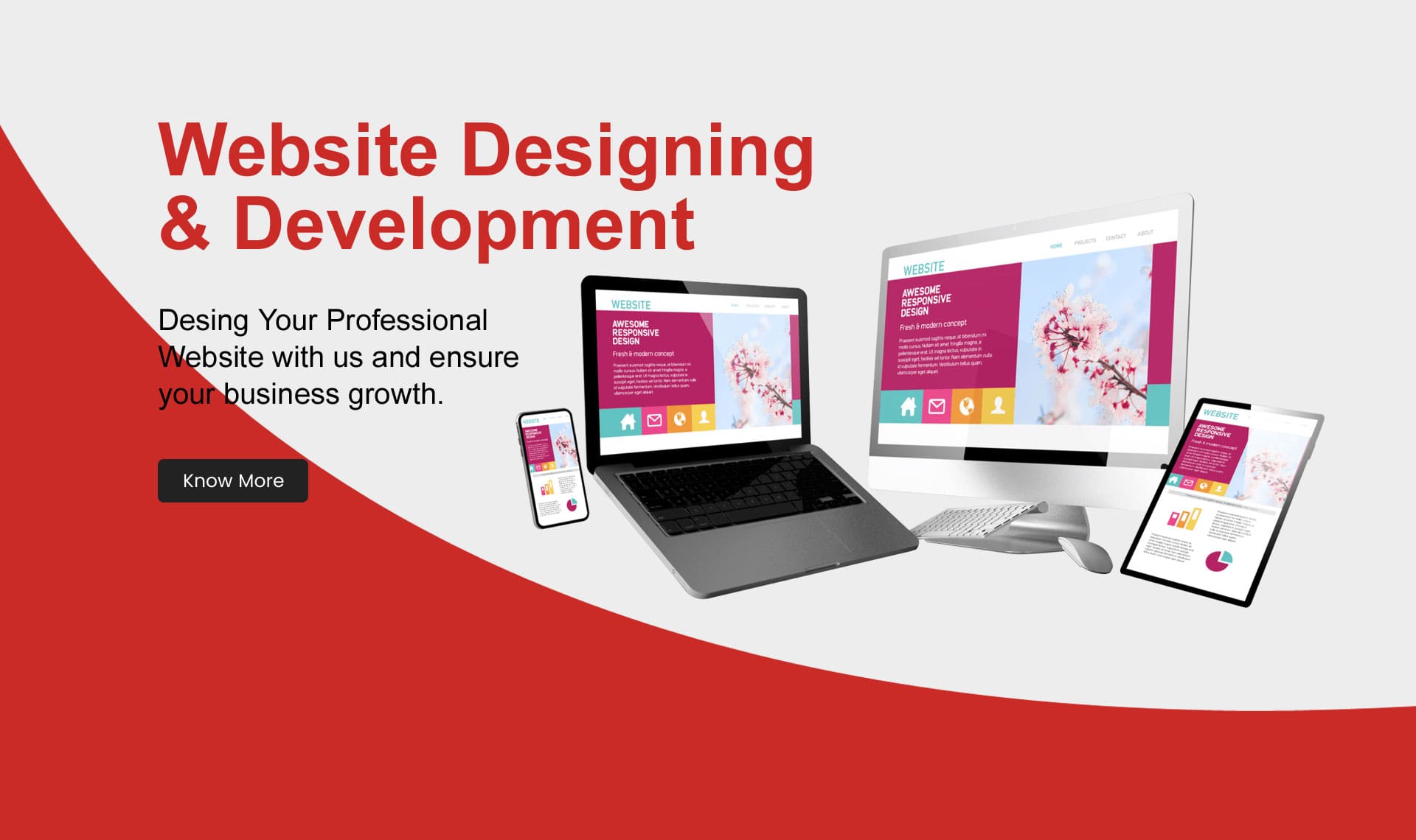Website Designing & Development