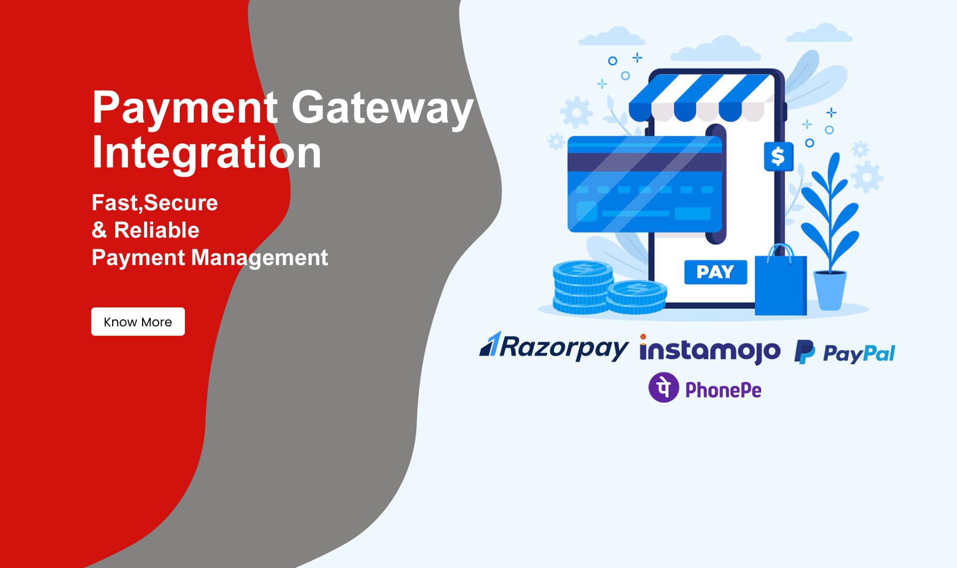 Payment Gateway Integration