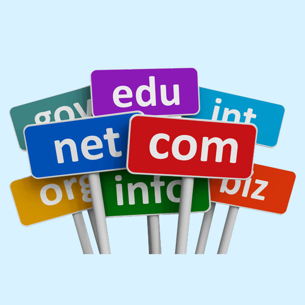 Domain Registration Services